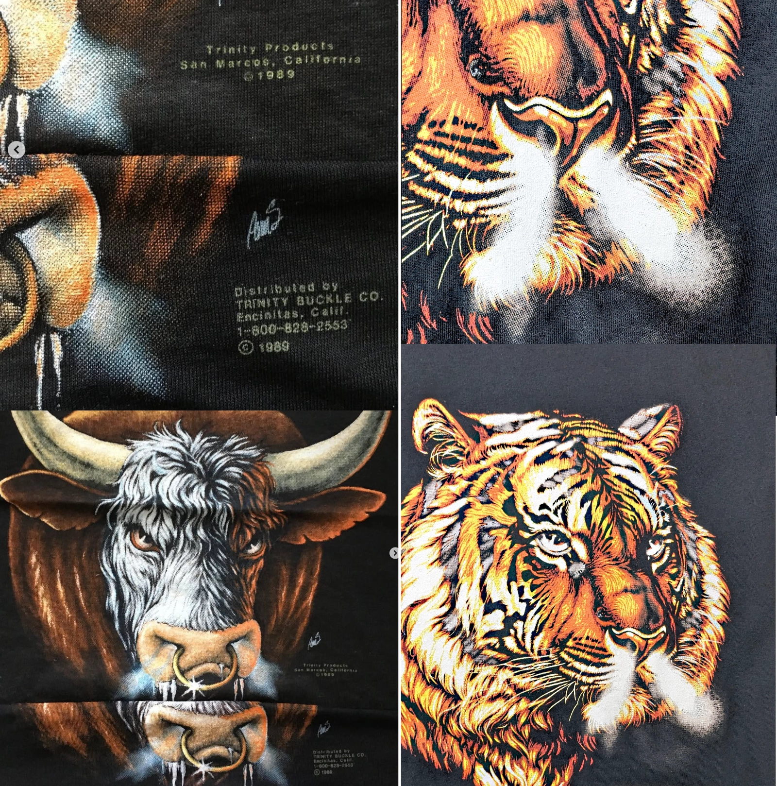 Animal motif comparison example